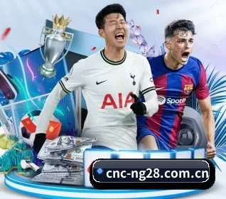 ng28.app APP 界面